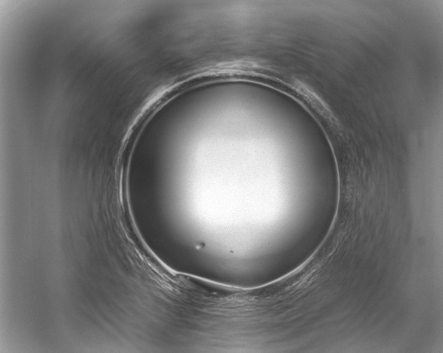 X0000059831224200510211204