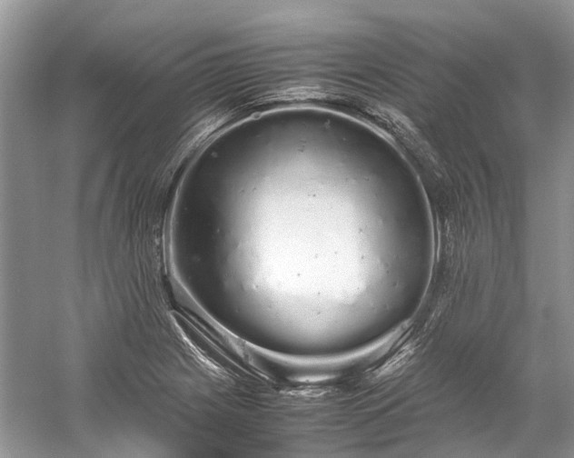 X0000059831225200510211204