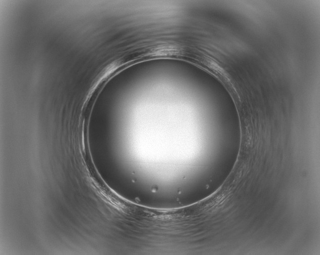 X0000059831227200510211204