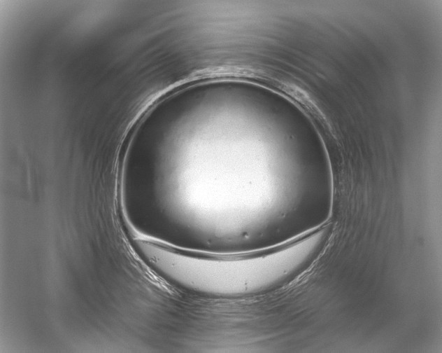 X0000059831228200510211204