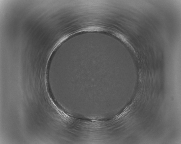 X0000059831229200510211204