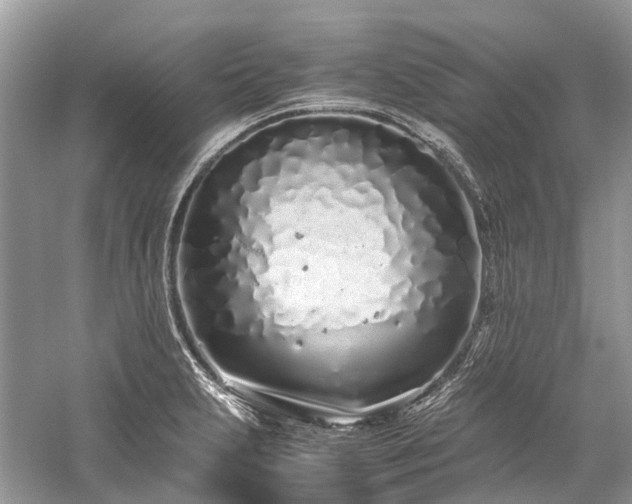 X0000059831231200510211204