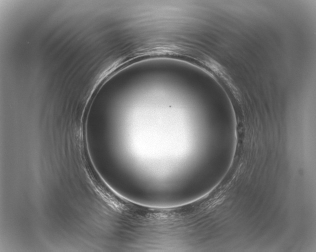 X0000059831234200510211204