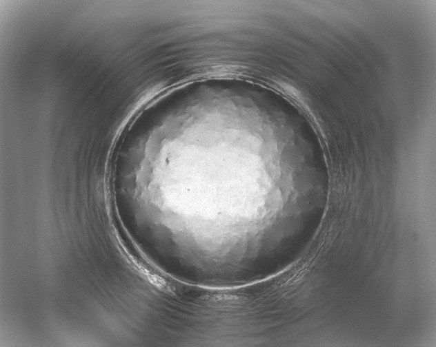 X0000059831235200510211204