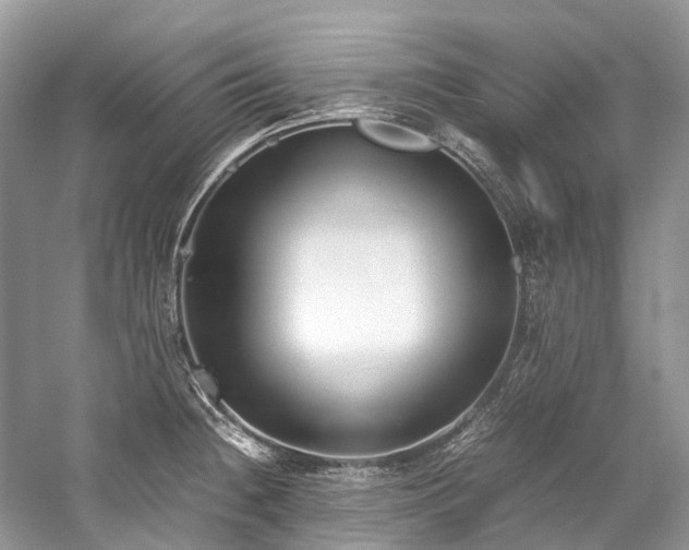 X0000059831236200510211204