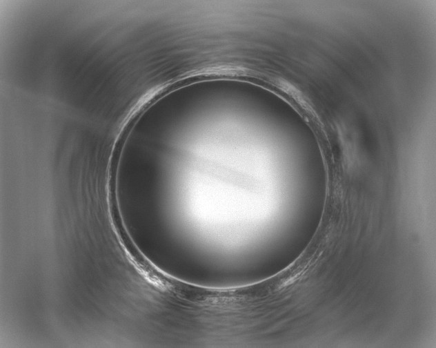 X0000059831237200510211204