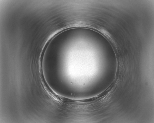 X0000059831238200510211204