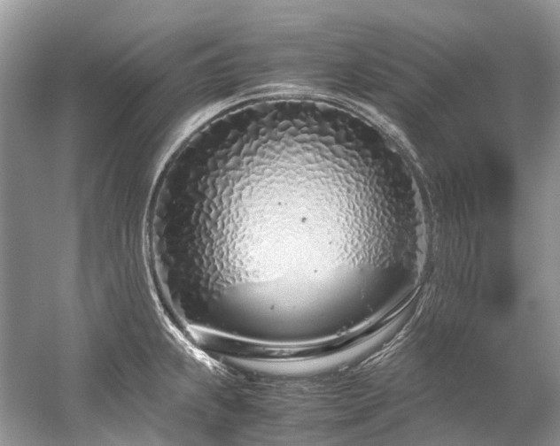 X0000059831239200510211204