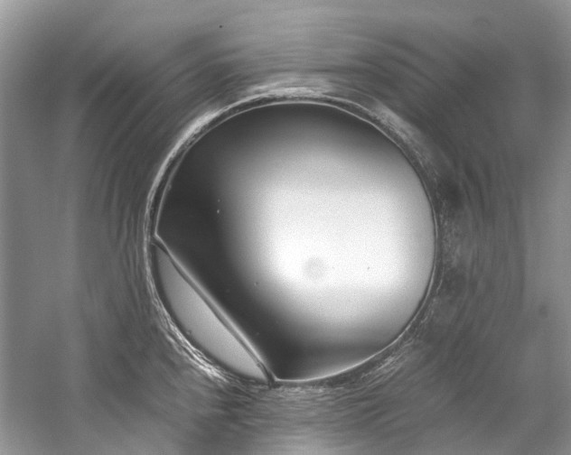 X0000059831240200510211204