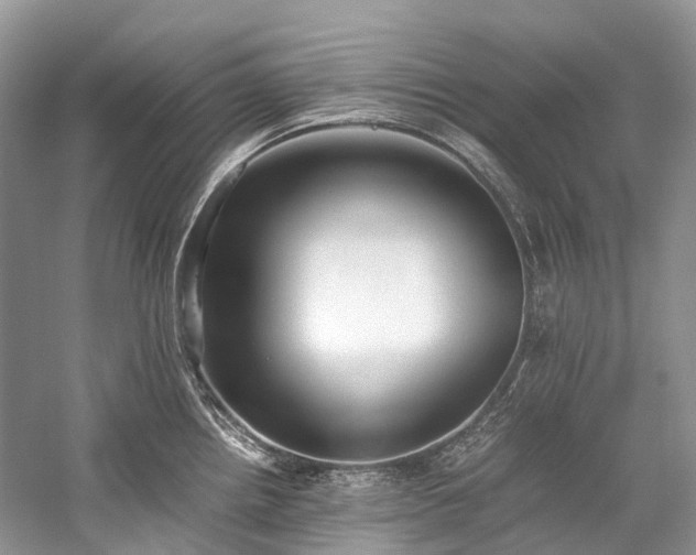 X0000059831242200510211204