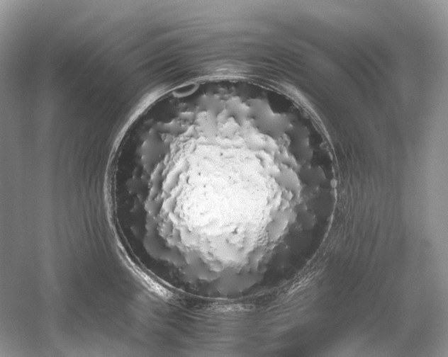 X0000059831243200510211204