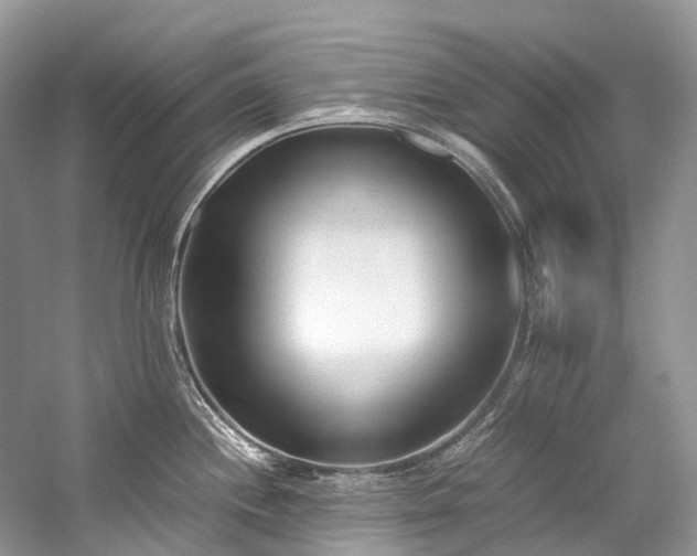 X0000059831244200510211204