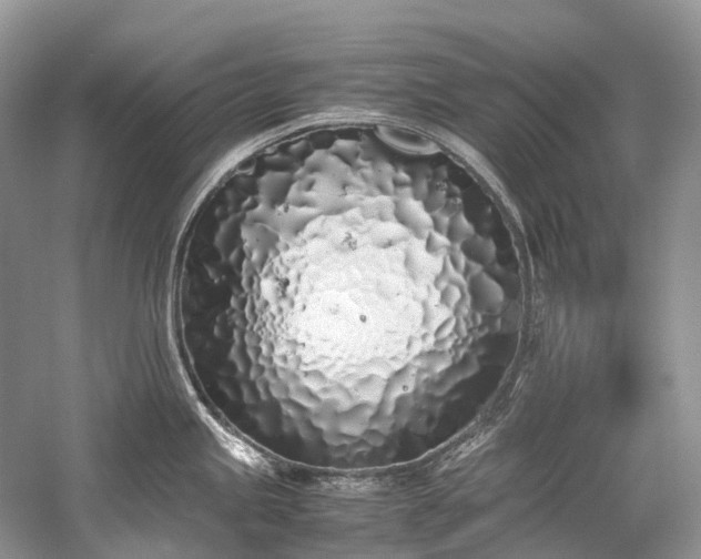 X0000059831245200510211204