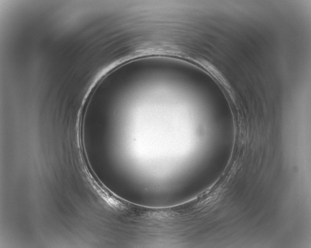 X0000059831246200510211205