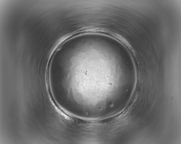 X0000059831247200510211205