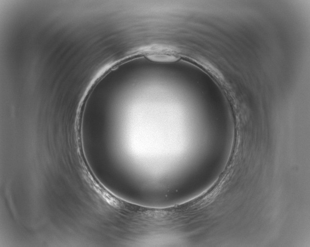 X0000059831248200510211205