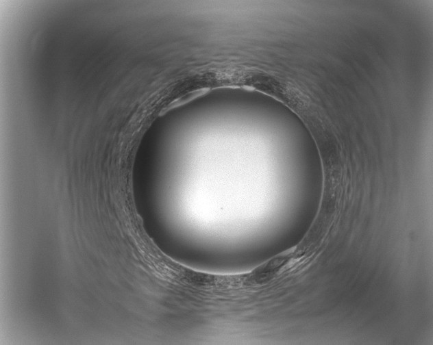 X0000059831249200510211204