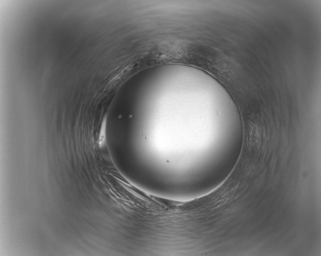 X0000059831250200510211204