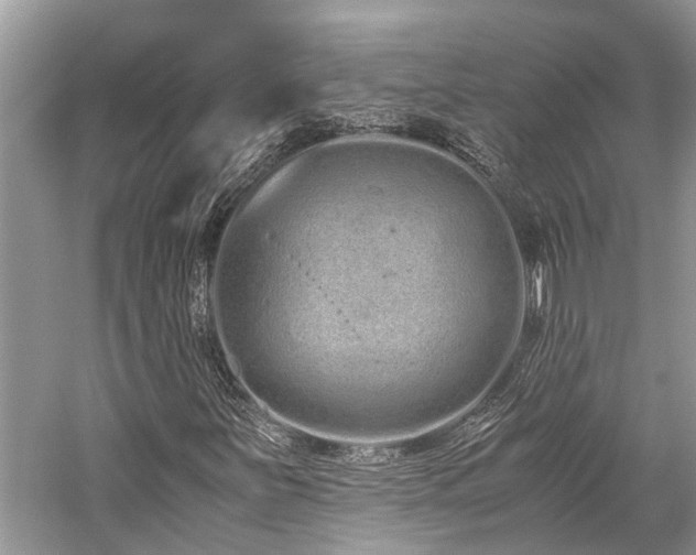 X0000059831251200510211204