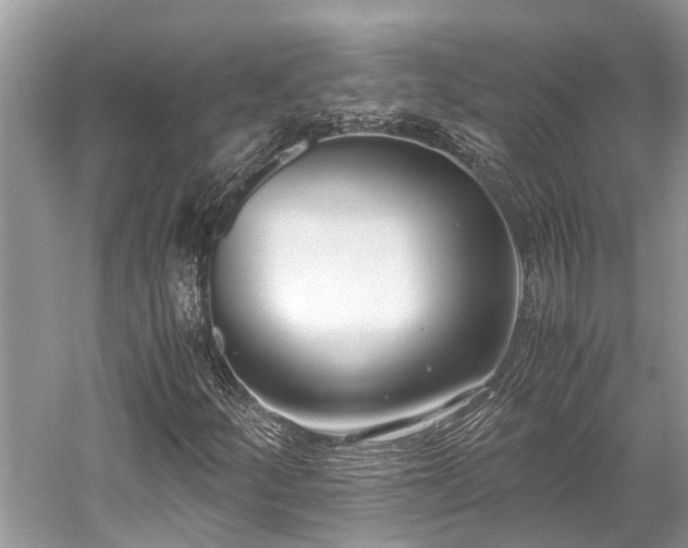 X0000059831252200510211204