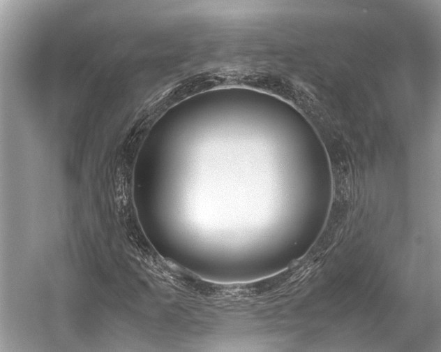 X0000059831253200510211204