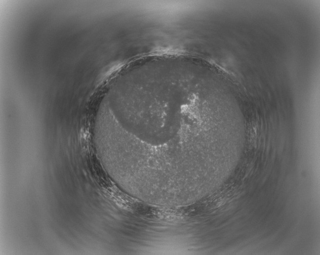 X0000059831254200510211204