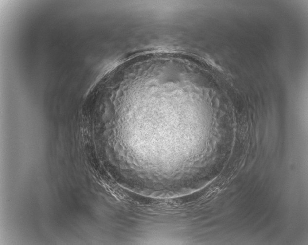 X0000059831255200510211204