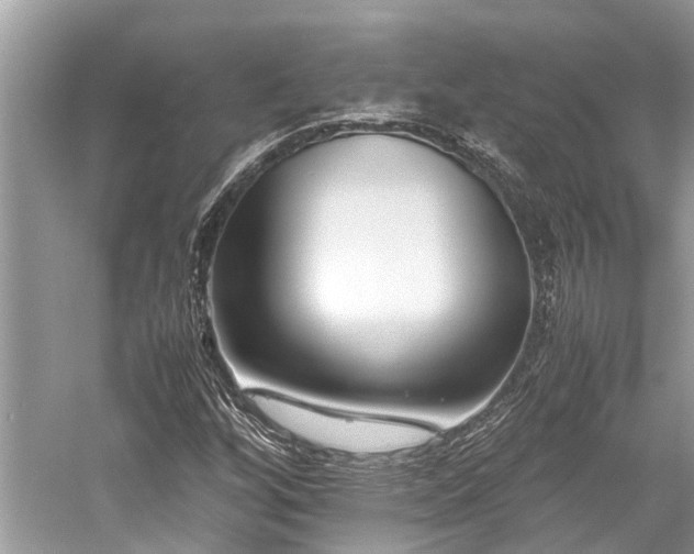 X0000059831256200510211204