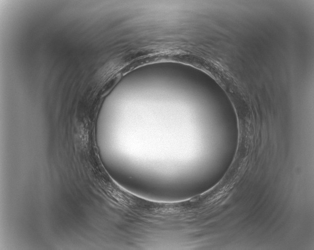 X0000059831257200510211204