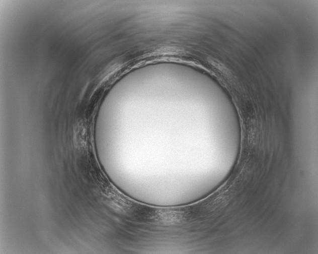 X0000059831258200510211204