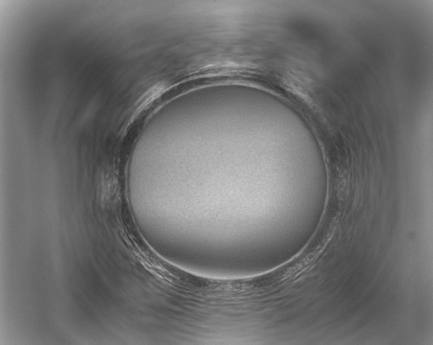 X0000059831259200510211204