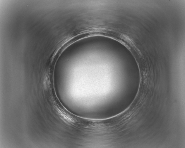 X0000059831260200510211204