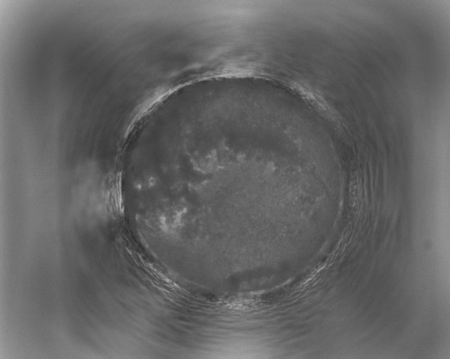 X0000059831262200510211204