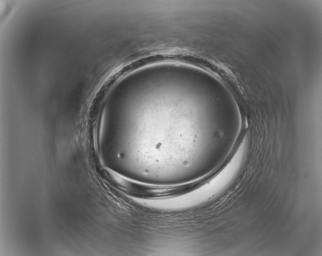 X0000059831263200510211203