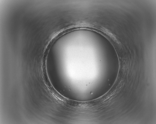 X0000059831264200510211203