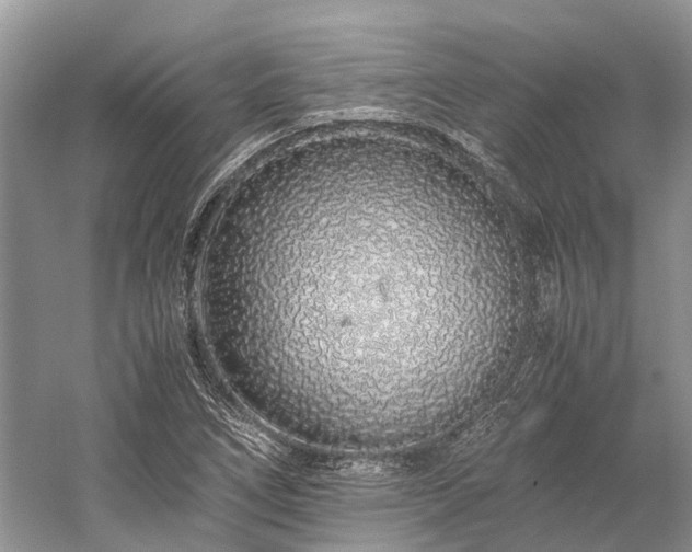 X0000059831266200510211203