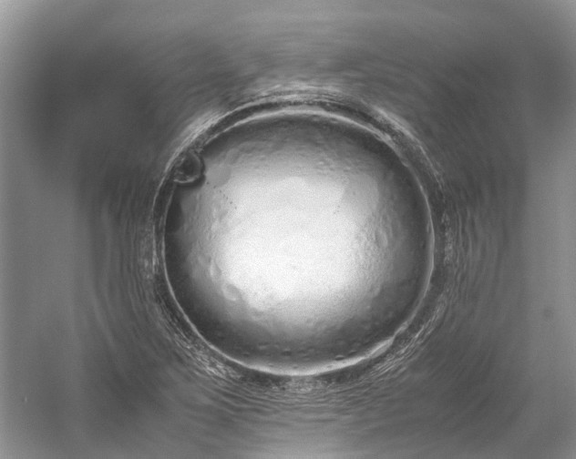 X0000059831267200510211203