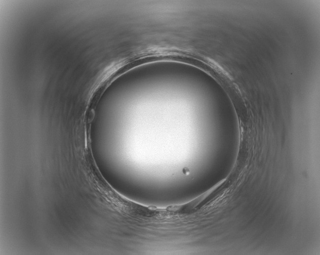 X0000059831269200510211203