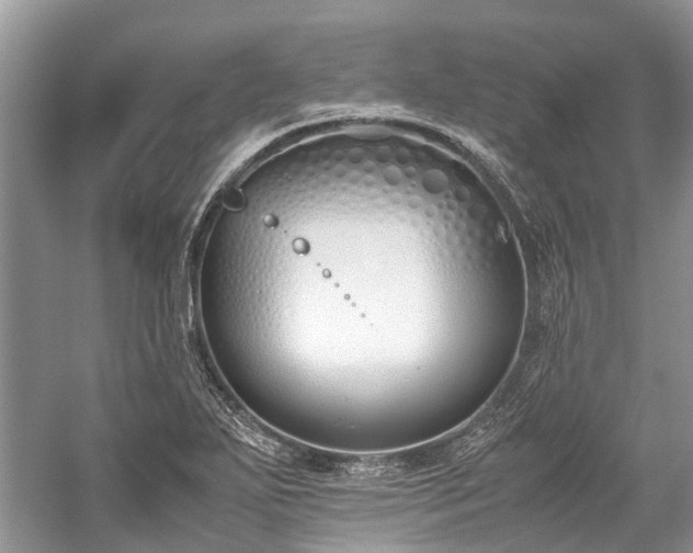 X0000059831271200510211203