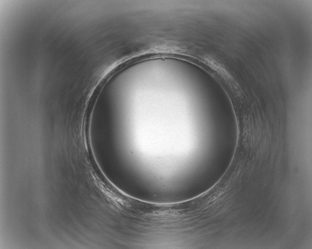 X0000059831272200510211203