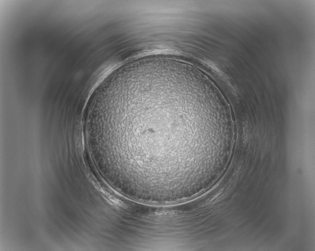 X0000059831274200510211203