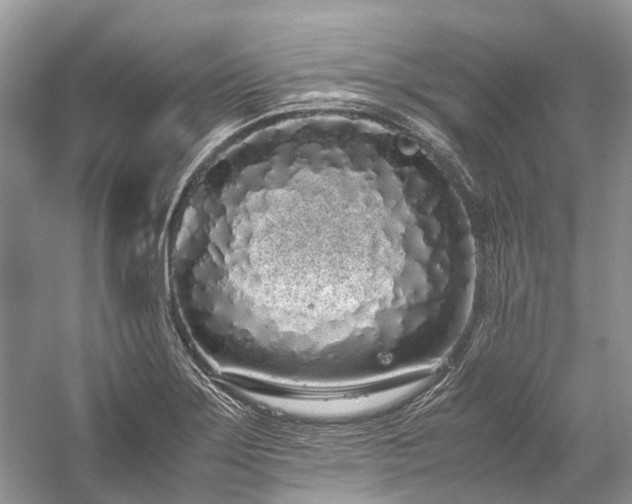 X0000059831275200510211203