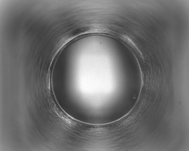 X0000059831276200510211203