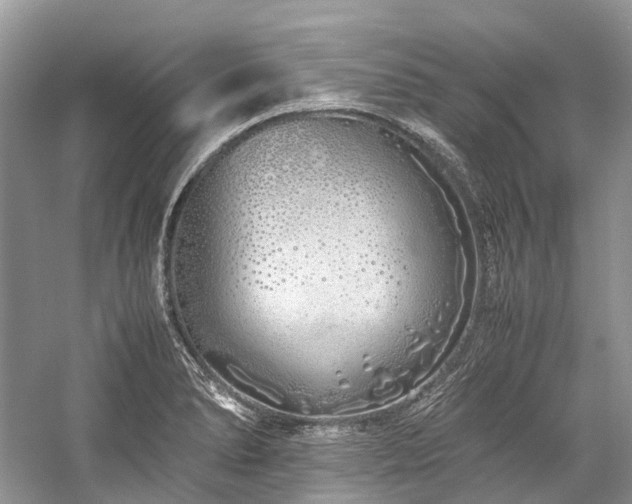 X0000059831278200510211203