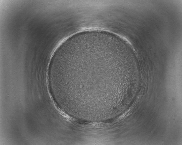 X0000059831279200510211203