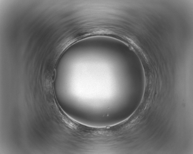 X0000059831281200510211203