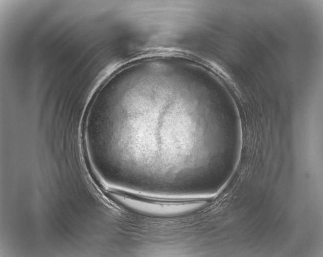 X0000059831283200510211203