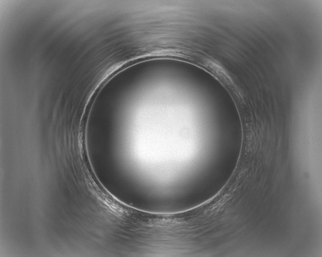 X0000059831284200510211203