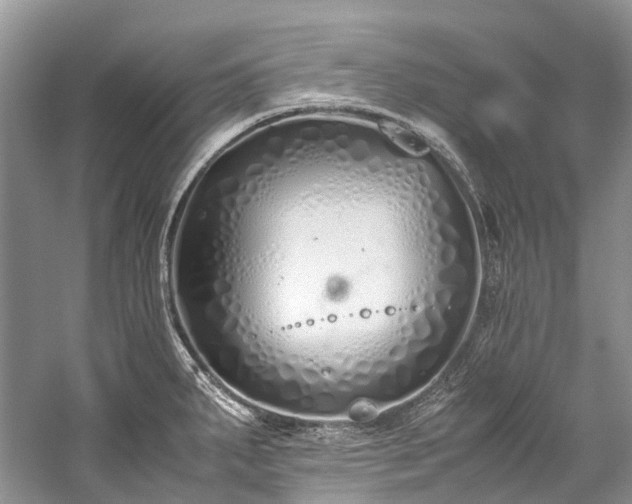 X0000059831287200510211203