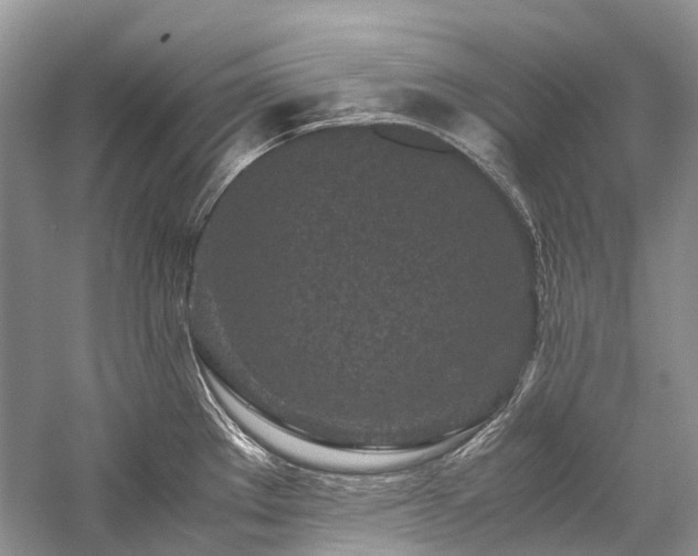 X0000059831289200510211203